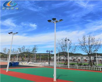 青海延安學校路燈照明項目